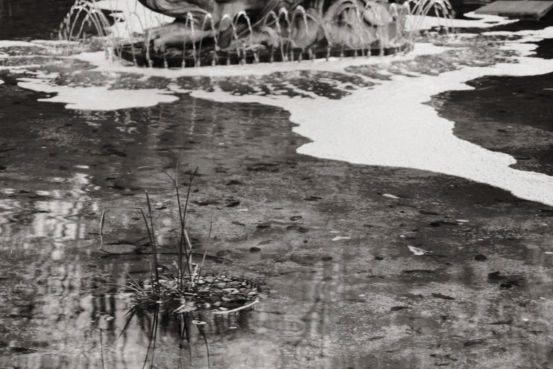 photo argentique d'un point d'eau